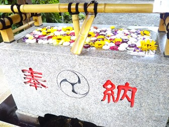 2020年8月・9月 熊野神社のカラフル御朱印