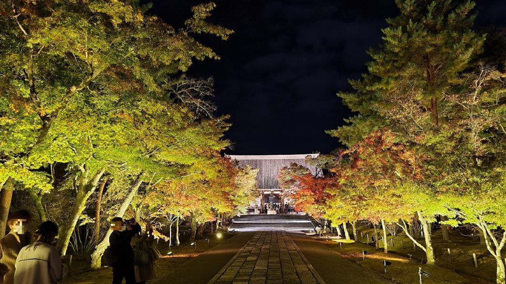 【紅葉2021】京都 仁和寺 世界遺産の紅葉ライトアップは幻想的 見どころはここ！