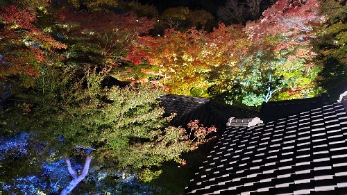 【紅葉2021】京都 瑠璃光院 リフレクションもみじ 夜間特別拝観の予約方法