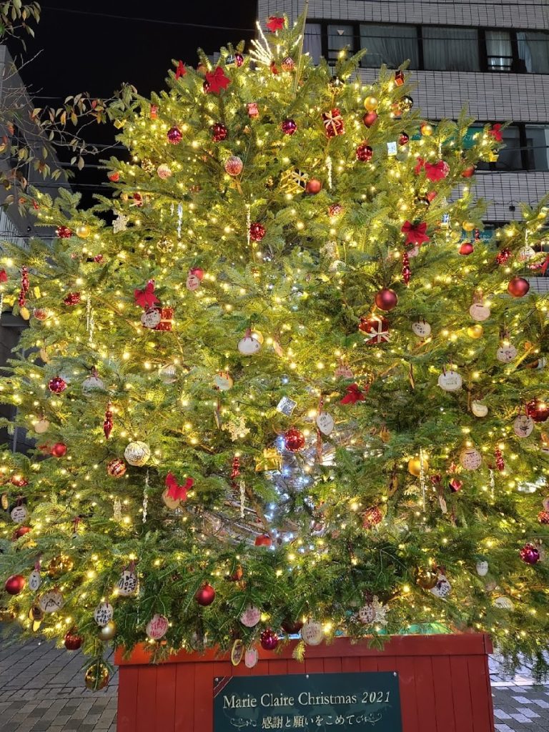 【2021年】自由が丘・熊野神社12月の御朱印とクリスマスイルミネーションスポット案内